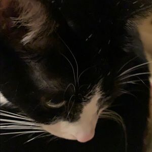 Meet your Posher, Janet